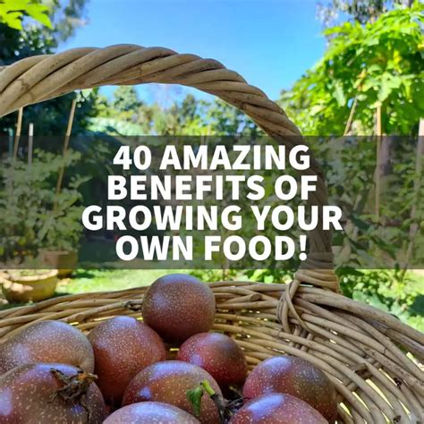 40 Great Benefits of Growing Your Own Food!