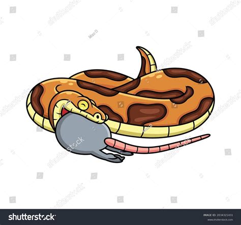 Snake Eat Mouse Cartoon Isolated On Stock Vector (Royalty Free ...