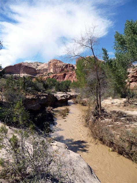 Escalante River trail | River trail, Grand staircase escalante, Escalante