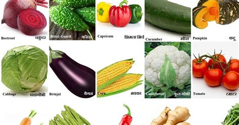 Bitter Vegetables Name List