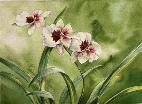 Paint an Orchid in Watercolor » Plants » HF&G