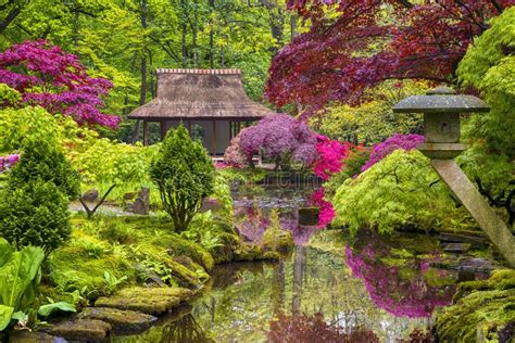 Travel Concepts. Amazing Picturesque Scenery of Japanese Garden Stock ...