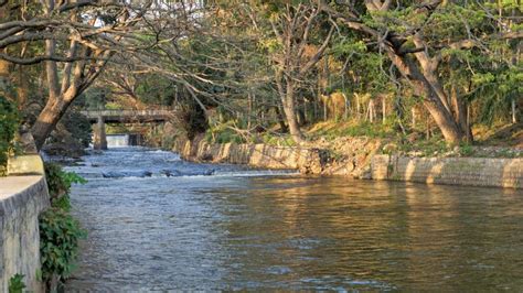 View of Cauvery River from Bridge in Brindavan Gardens Located Inside ...