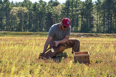 Tales From the Bog: Inside a New England Cranberry Harvest | Oyster.com