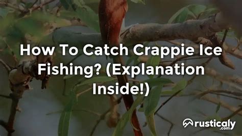 How To Catch Crappie Ice Fishing? (Finally Explained!)