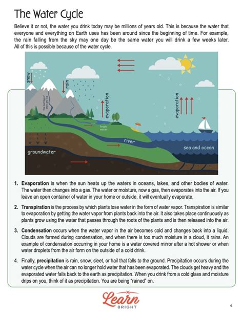 Water Cycle, Free PDF Download - Learn Bright