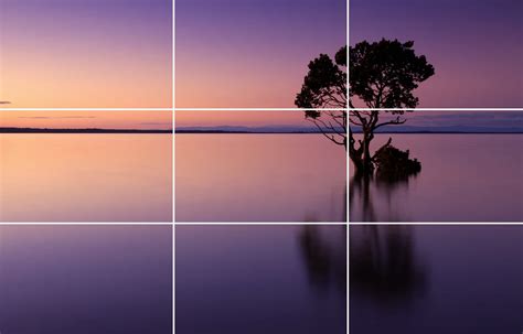 Tips for Using the Rule of Thirds in Photography | Photography