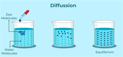 What is diffusion? Types, Examples of Diffusion