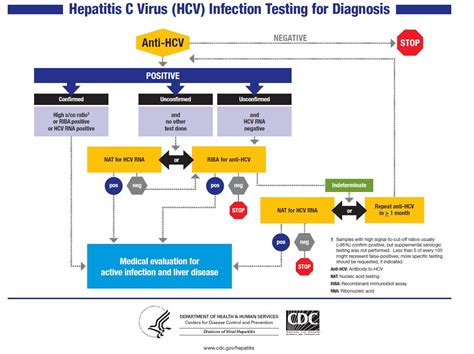 Diagnosis: Hepatitis C Diagnosis