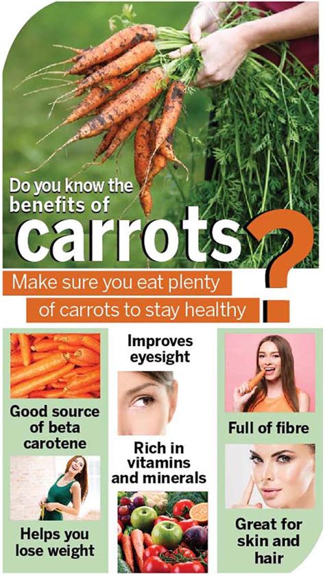 The Wonderful Benefits Of Carrots – FitOlympia