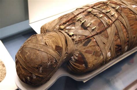 Ancient Egyptian mummies found floating in sewage water in Egypt ...