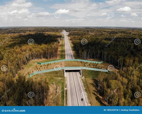 Wildlife Crossing - Bridge Over A Highway In Forest Stock Photo ...