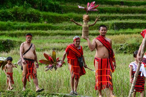 On the edge: Saving Ifugao rice terraces | Inquirer News