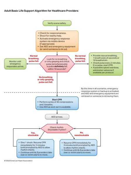 American Heart Association 2022 CPR Cheat Sheet - SAVING AMERICAN ...