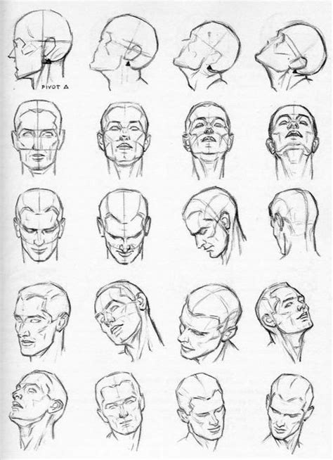 face reference - Google Search | Drawing the human head, Drawings ...