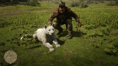 We found a friendly Ghost Panther : r/RedDeadOnline