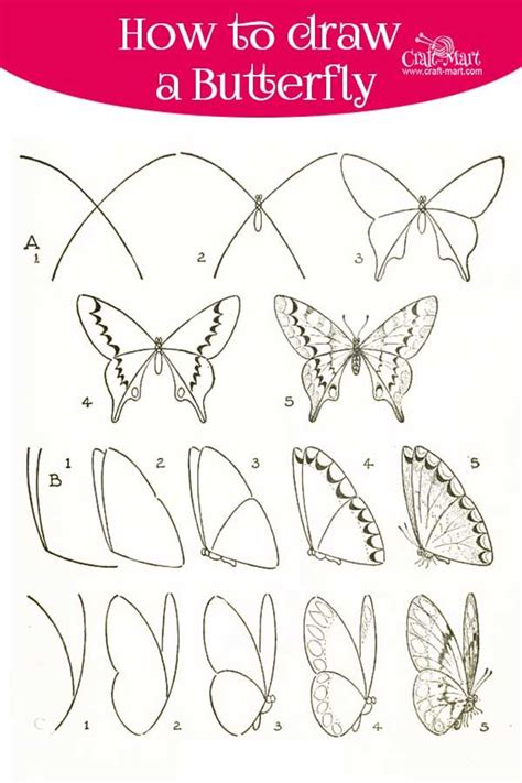 How to draw a butterfly step by step easy and fast - Craft-Mart ...