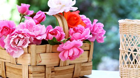 basket, Roses, Flowers, Gardens, Spring, Nature, Beauty, Love, Romance ...