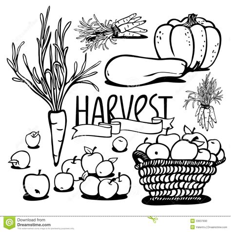 harvest clipart black and white 10 free Cliparts | Download images on ...