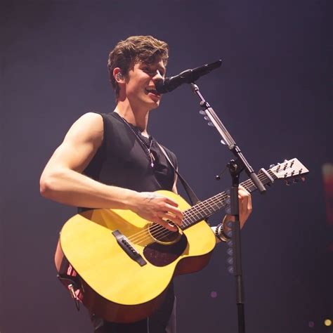 Shawn Mendes: The Tour – Concert Review in 2021 | Shawn mendes, Shawn ...