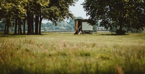 Glamping New Forest England: 14 Unique Stays | 2023