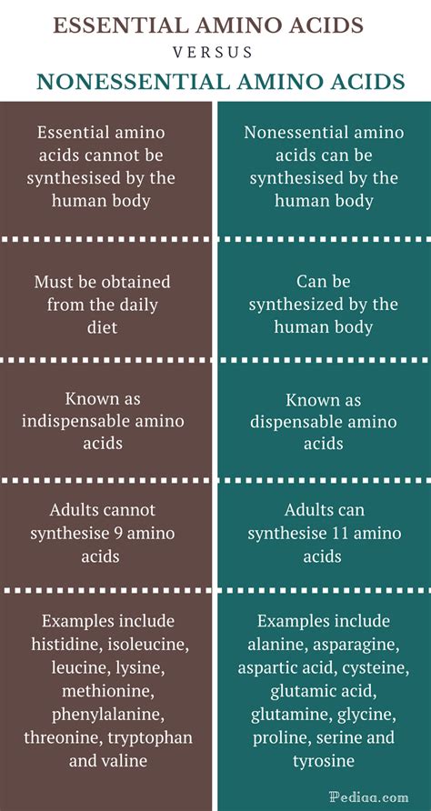 Difference Between Essential and Nonessential Amino Acids