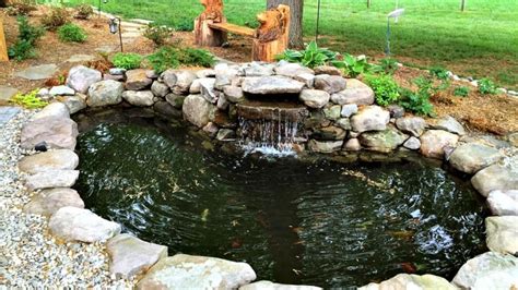 How to Clean Your Backyard Koi Pond | Angie's List