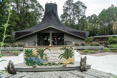 Okefenokee Swamp Tours: Which One to Pick? | Our Traveling Zoo