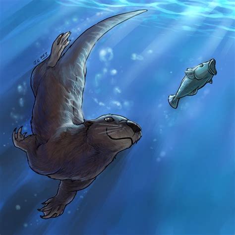 river otter swimming - Google Search Animal Drawings, Cute Drawings ...