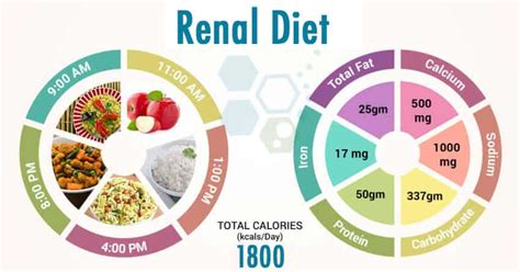 Top 12 Best Foods for Managing Kidney Disease - A Renal Diet