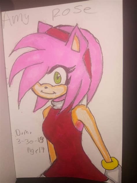 Amy rose | Sonic the Hedgehog! Amino