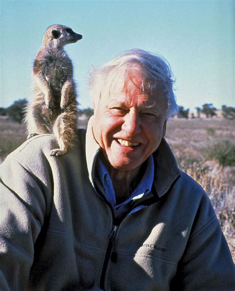 David Attenborough | Biography, Documentaries, A Life on Our Planet, TV ...