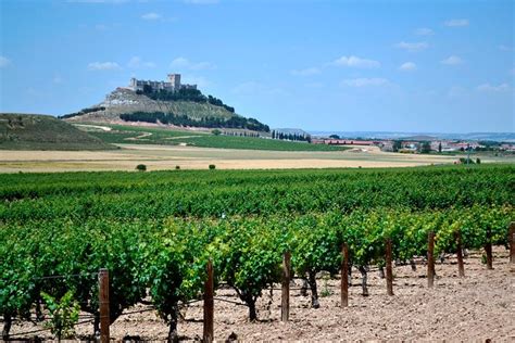 PRIVATE TOUR - Premium Ribera del Duero wine tour with lunch & hotel ...