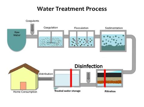 Steps of water purification process - Online Biology Notes