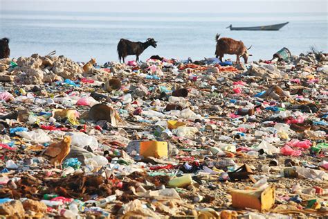 Plastic pollution: A threat to Ecosystem Health - One Health and ...