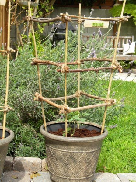 Make Bamboo and Twig Tomato Cages » Dollar Store Crafts