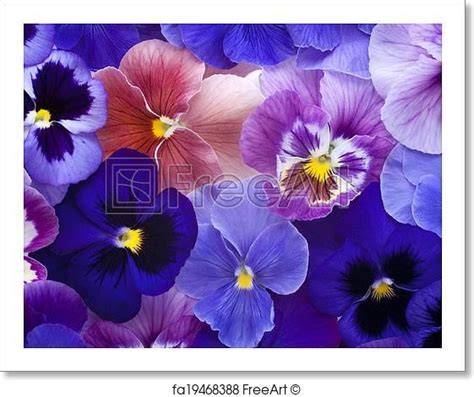 Pin on Macro Flower Art Prints