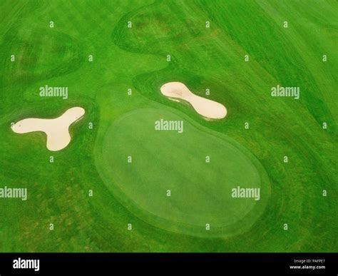 green grass of the golf course Stock Photo - Alamy