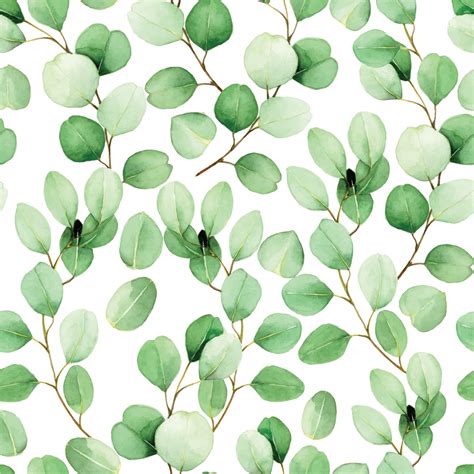 seamless watercolor pattern with eucalyptus leaves on a white ...