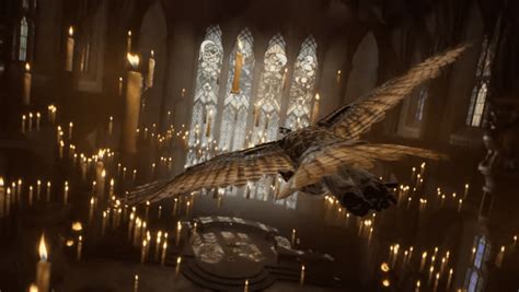 Hogwarts Legacy Gets New Cinematic Trailer | Gaming Instincts