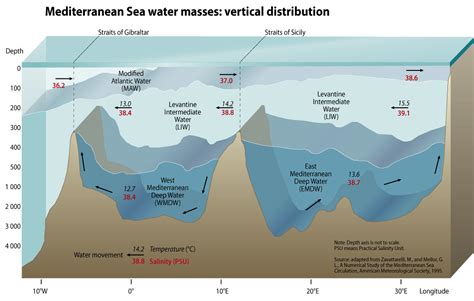 Mediterranean Sea water masses: vertical distribution - a photo on ...