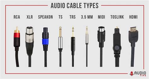 11 Audio Cable Types Explained (2024 With Infographic) - Audio Tips