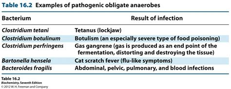 Note: Actinomyces is also an "obligate anaerobe" | Clostridium ...