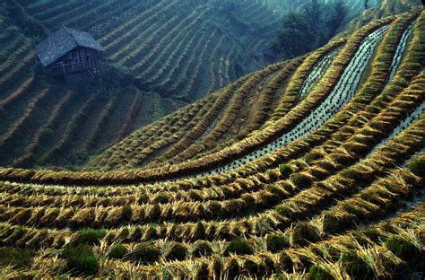 Rice Paddy, Energy Development, Rice Terraces, Rock Formations ...