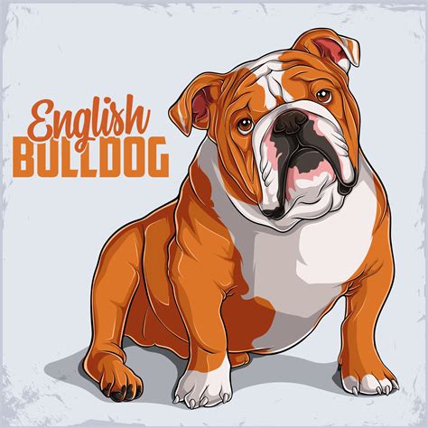 English Bulldog Vector Art, Icons, and Graphics for Free Download