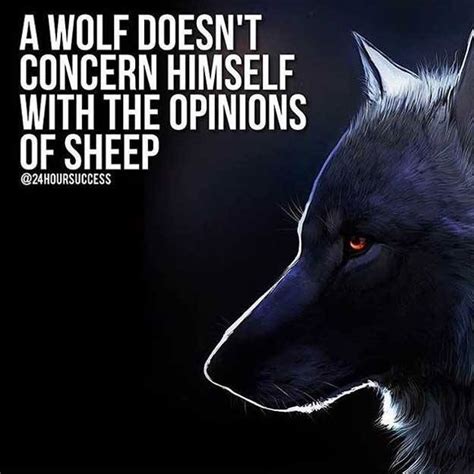 20 Strong Wolf Quotes To Pump You Up | Wolves & Wolfpack Quotes