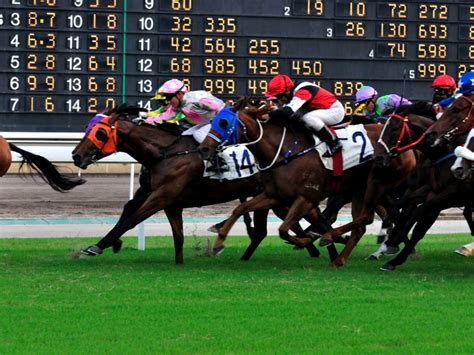 Jockey Club seeks to expand horse betting activities - RTHK