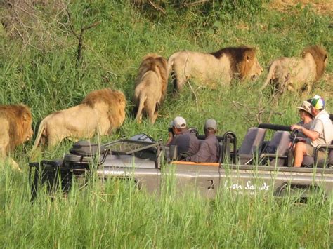 Lion Sands Narina Lodge - Siyeza Safaris