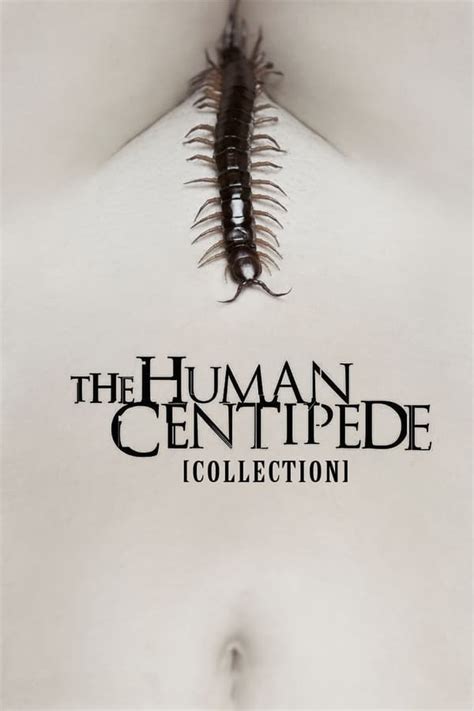 The Human Centipede Collection — The Movie Database (TMDB)