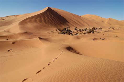 The Sahara Desert Has Grown 10 Percent Since 1920 - Yale E360